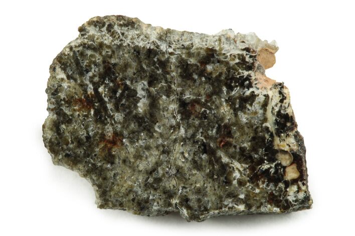 Polished Martian Meteorite Slice ( g) - NWA #247010